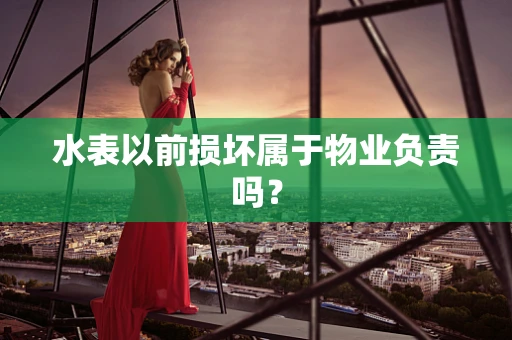 水表以前损坏属于物业负责吗？