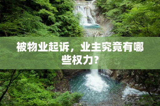 被物业起诉，业主究竟有哪些权力？