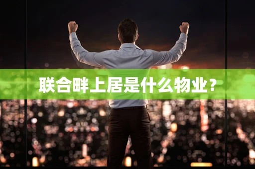 联合畔上居是什么物业？