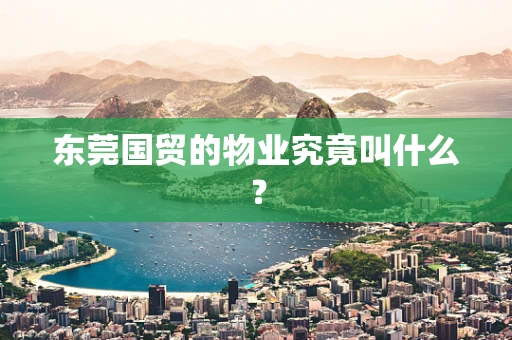 东莞国贸的物业究竟叫什么？