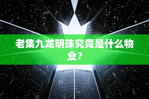 老集九龙明珠究竟是什么物业？