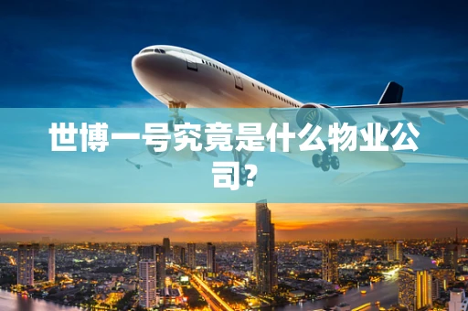 世博一号究竟是什么物业公司？
