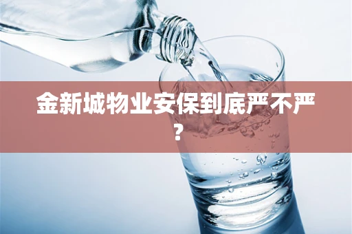 金新城物业安保到底严不严？