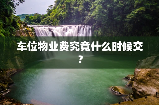 车位物业费究竟什么时候交？