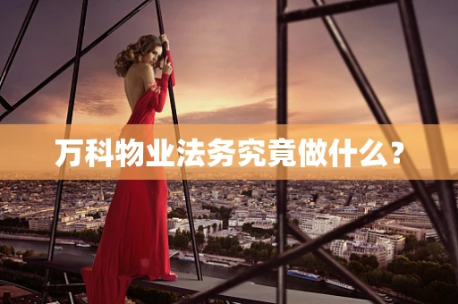 万科物业法务究竟做什么？