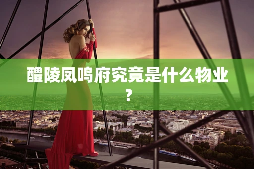 醴陵凤鸣府究竟是什么物业？