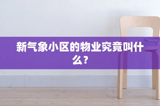 新气象小区的物业究竟叫什么？