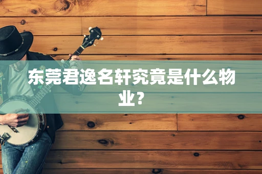 东莞君逸名轩究竟是什么物业？