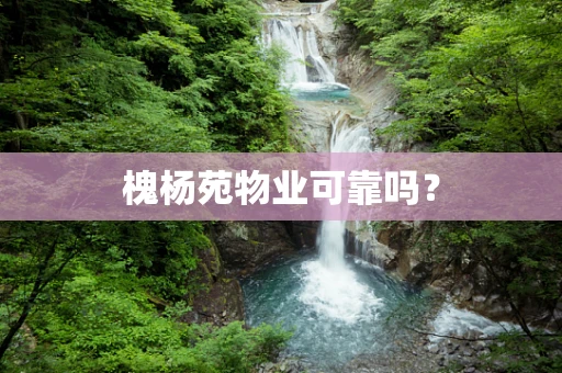 槐杨苑物业可靠吗？