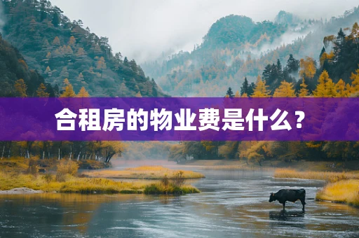 合租房的物业费是什么？