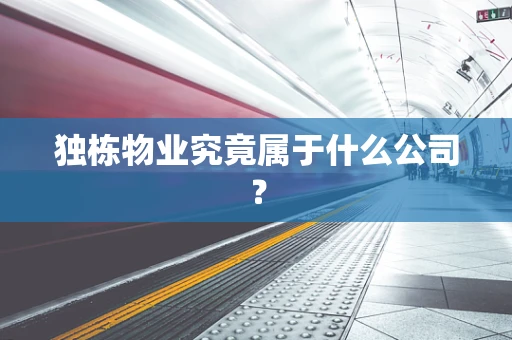 独栋物业究竟属于什么公司？