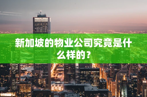 新加坡的物业公司究竟是什么样的？