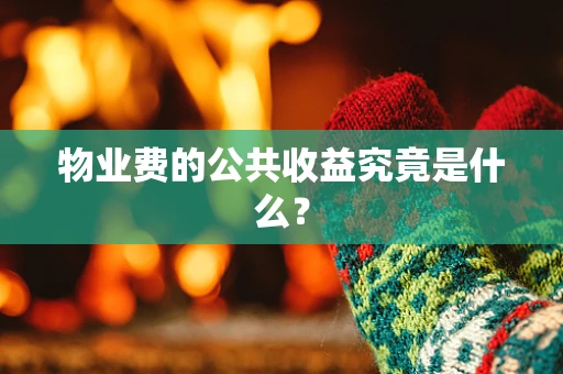 物业费的公共收益究竟是什么？