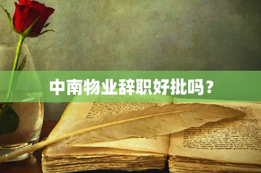 中南物业辞职好批吗？