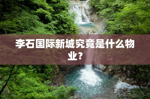 李石国际新城究竟是什么物业？
