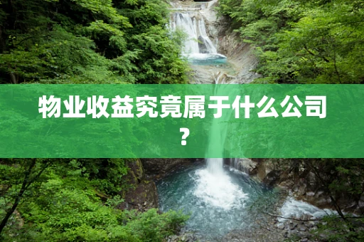 物业收益究竟属于什么公司？
