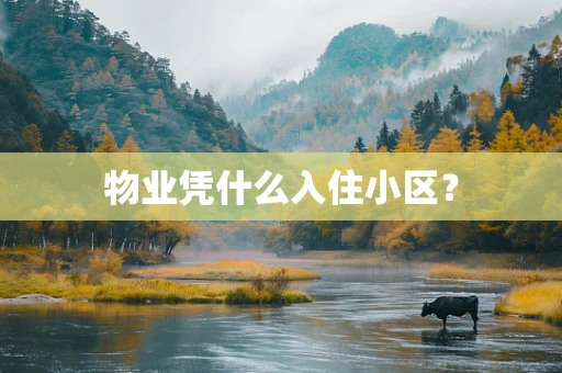 物业凭什么入住小区？
