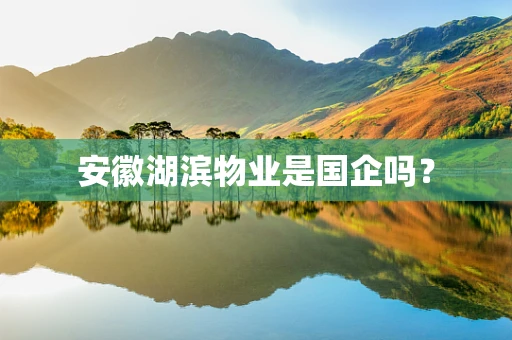 安徽湖滨物业是国企吗？