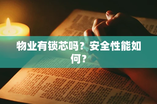 物业有锁芯吗？安全性能如何？