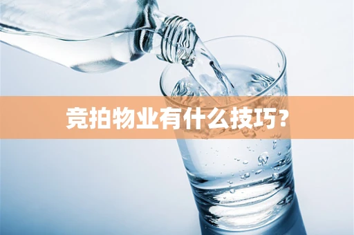 竞拍物业有什么技巧？