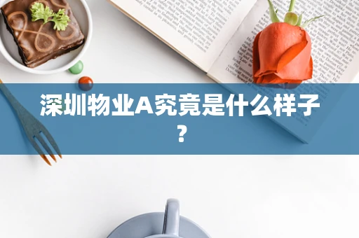 深圳物业A究竟是什么样子？