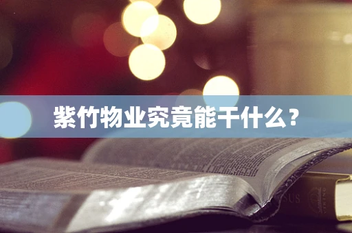 紫竹物业究竟能干什么？