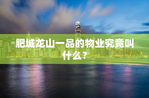 肥城龙山一品的物业究竟叫什么？