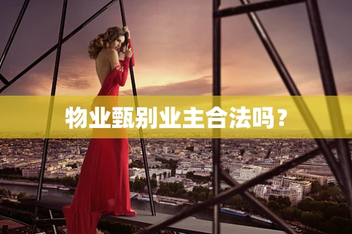 物业甄别业主合法吗？
