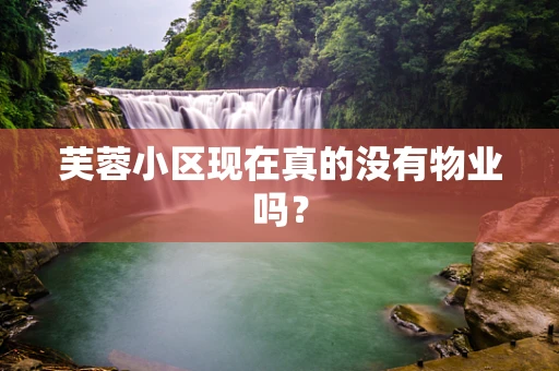 芙蓉小区现在真的没有物业吗？