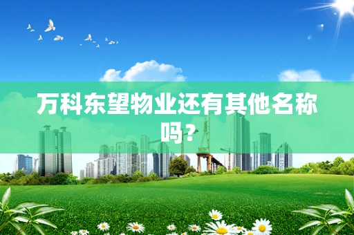 万科东望物业还有其他名称吗？