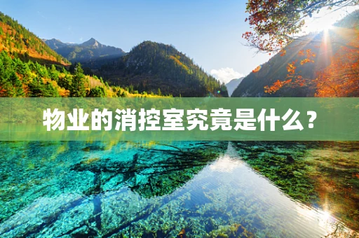 物业的消控室究竟是什么？