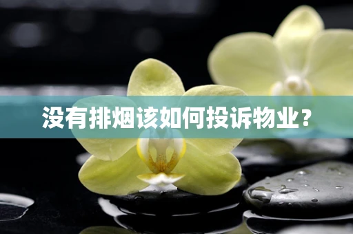 没有排烟该如何投诉物业？