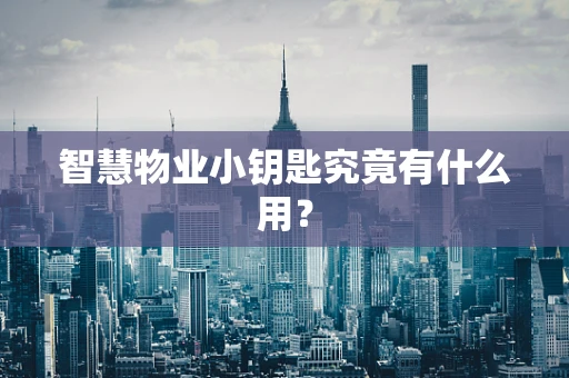 智慧物业小钥匙究竟有什么用？