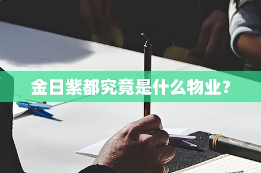 金日紫都究竟是什么物业？