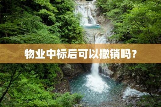 物业中标后可以撤销吗？
