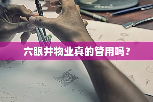 六眼井物业真的管用吗？