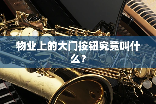 物业上的大门按钮究竟叫什么？