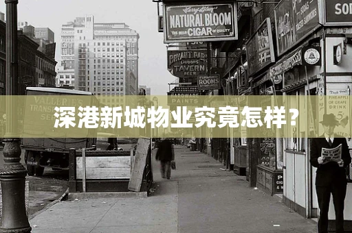 深港新城物业究竟怎样？