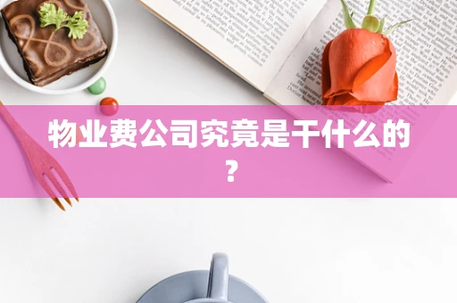 物业费公司究竟是干什么的？