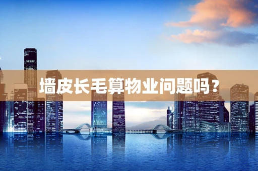 墙皮长毛算物业问题吗？