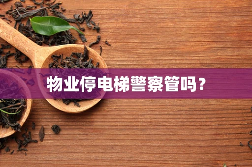 物业停电梯警察管吗？