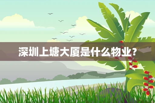 深圳上塘大厦是什么物业？