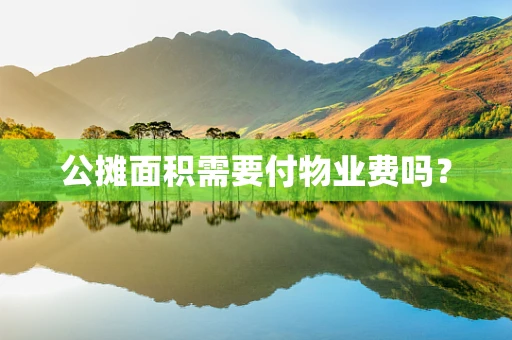 公摊面积需要付物业费吗？