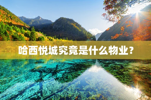哈西悦城究竟是什么物业？