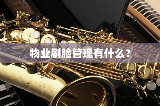 物业刷脸管理有什么？