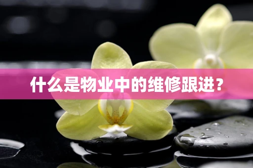 什么是物业中的维修跟进？
