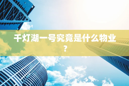 千灯湖一号究竟是什么物业？