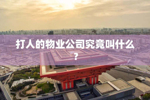 打人的物业公司究竟叫什么？