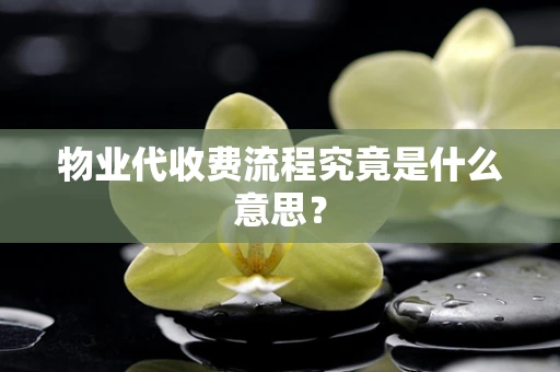 物业代收费流程究竟是什么意思？