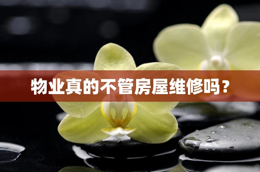 物业真的不管房屋维修吗？